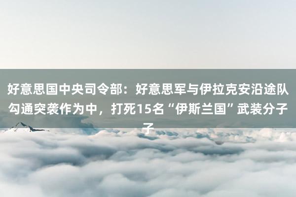 好意思国中央司令部：好意思军与伊拉克安沿途队勾通突袭作为中，打死15名“伊斯兰国”武装分子