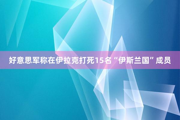 好意思军称在伊拉克打死15名“伊斯兰国”成员